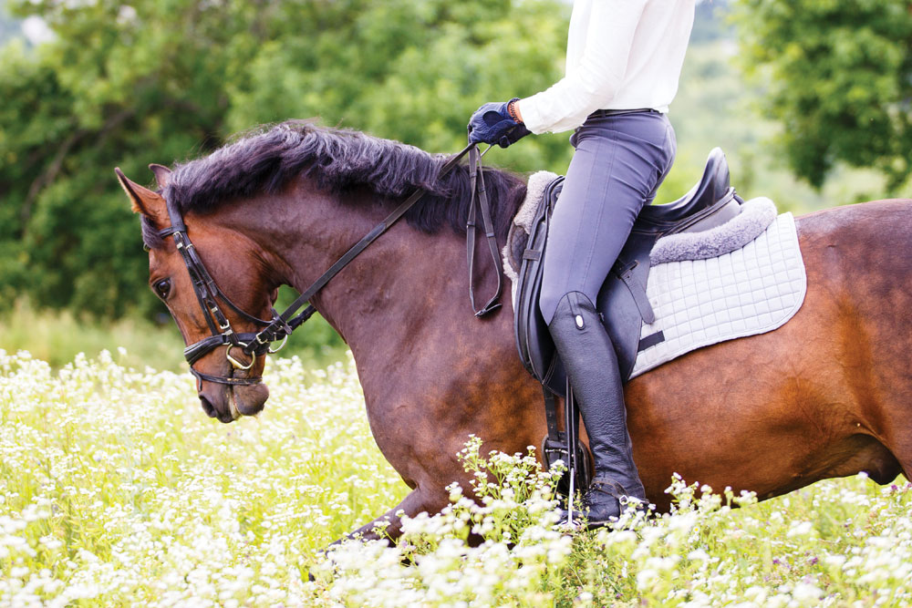 Gentle Riding Use Yarn Reins for Gentler Hands - Horse Illustrated